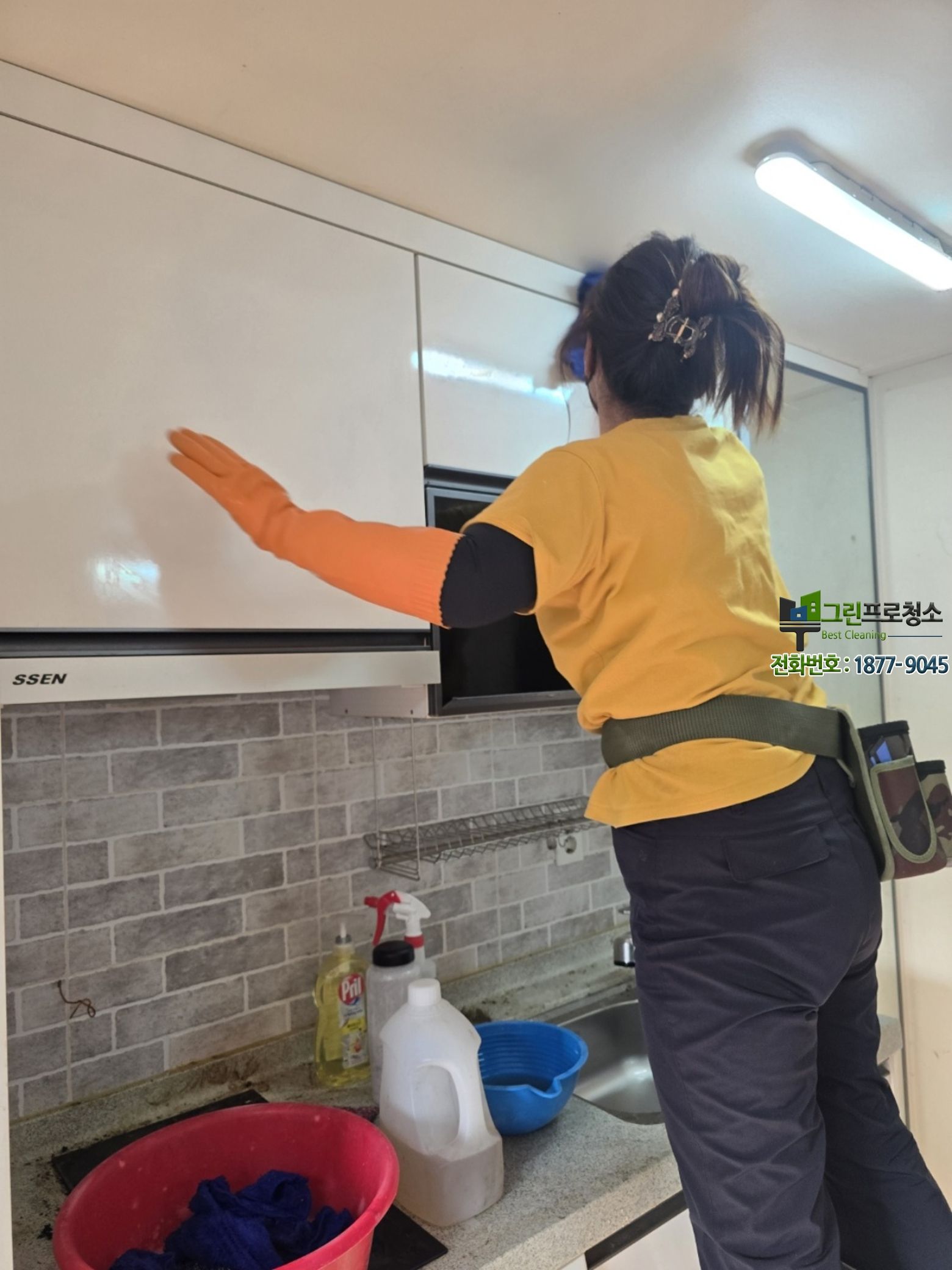 곰팡이 제거 개념과 작업 과정을 보여주는 이미지