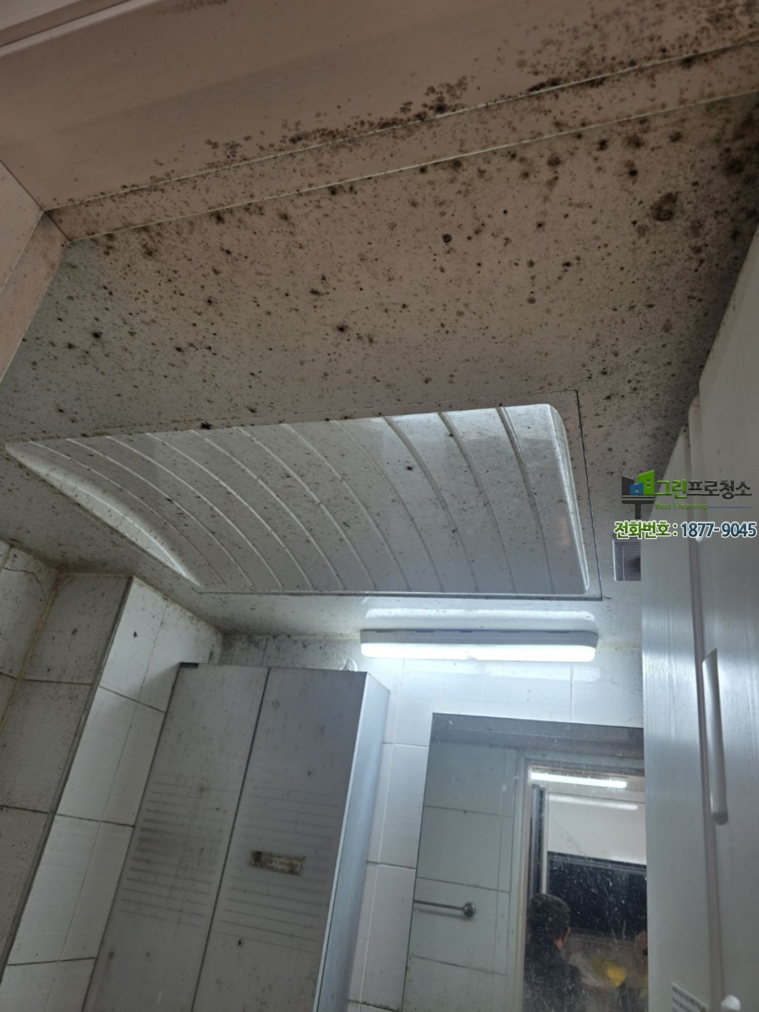 욕실과 주방 곰팡이 제거 작업 모습