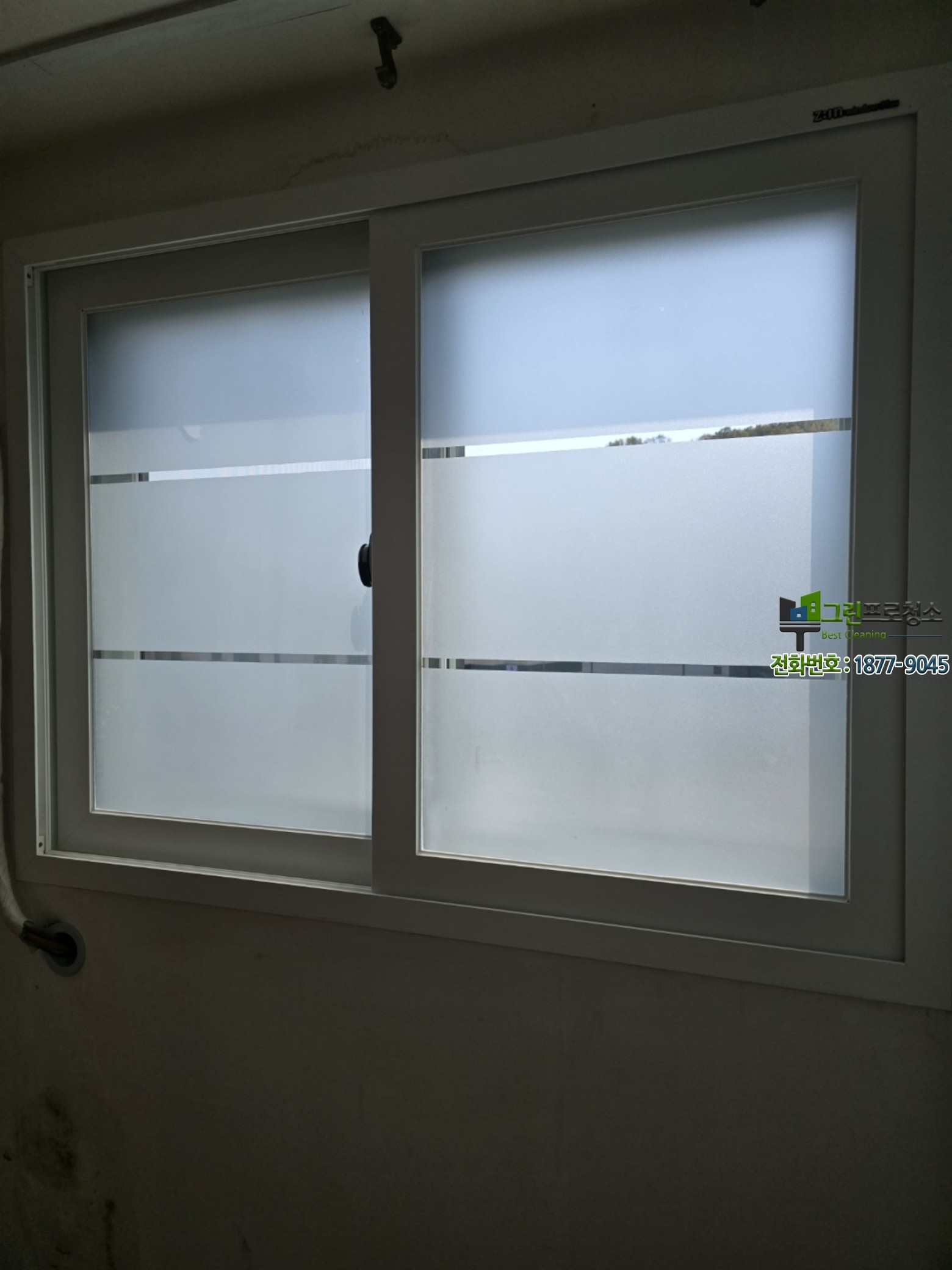 상담이 필요한 곰팡이 발생 사례