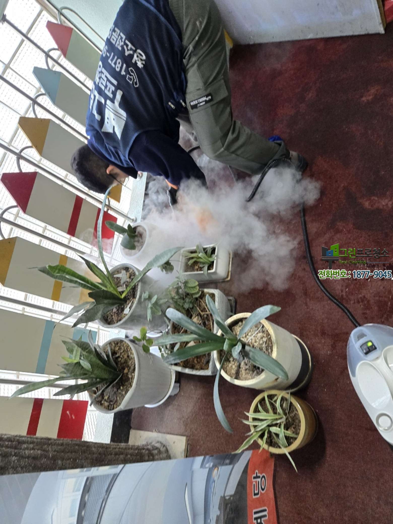 청소 후 밝아진 복도 카페트