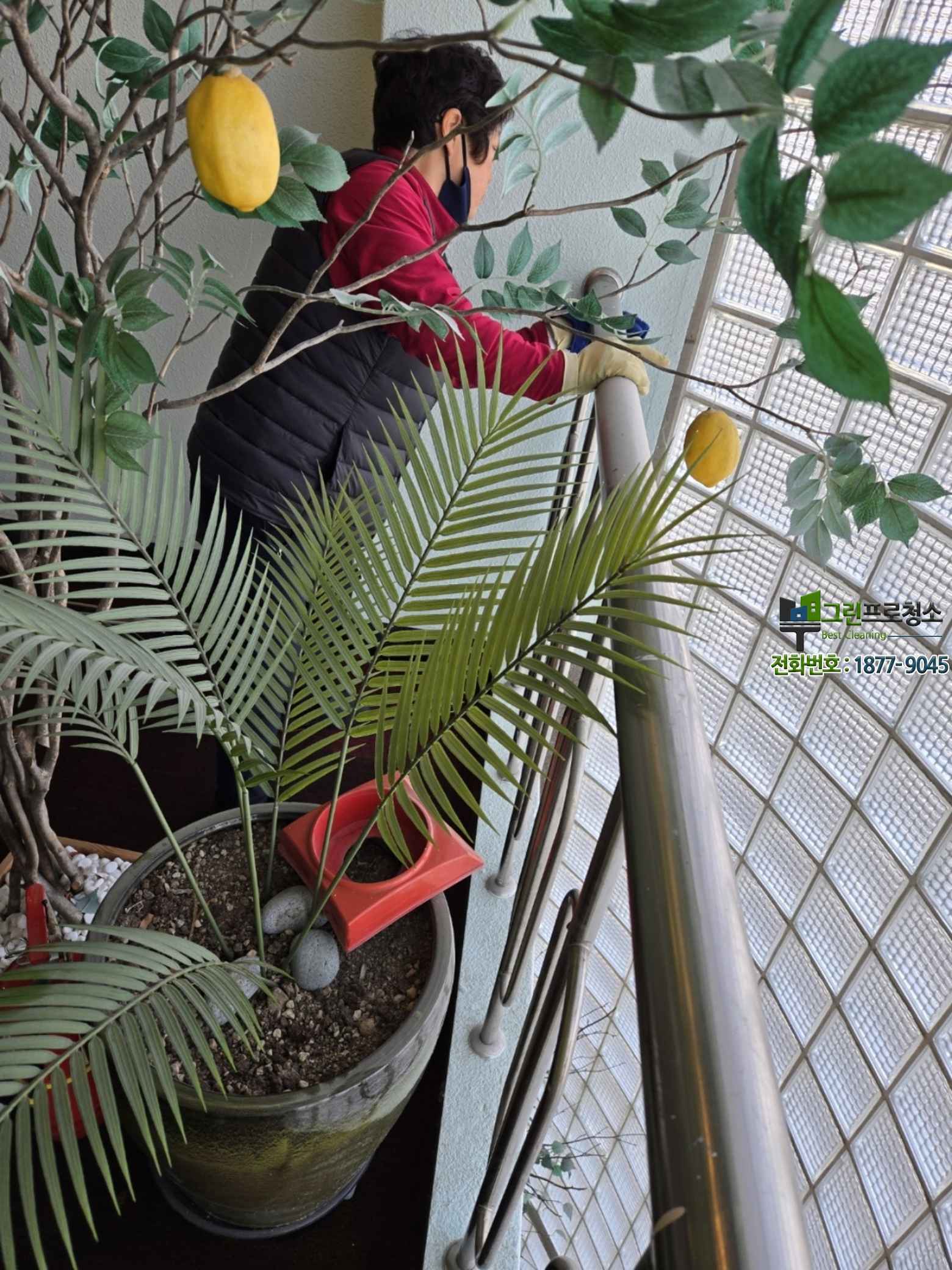 안전하게 관리된 계단 카페트