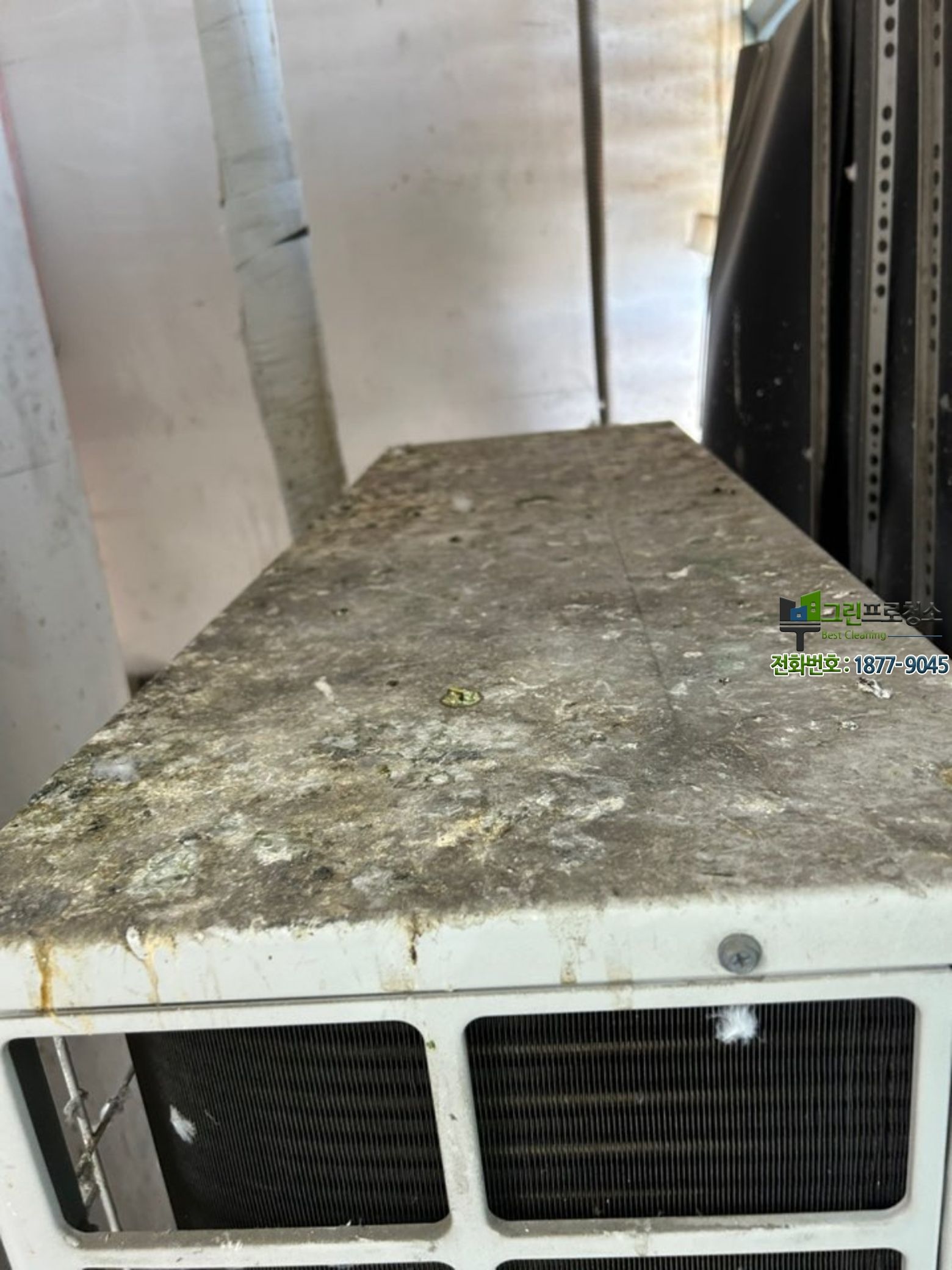 안산 지역 건물 외부의 비둘기 오염 상태