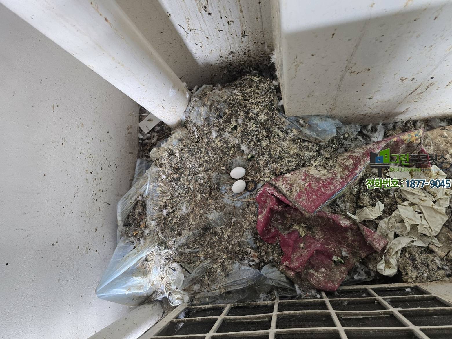 쾌적해진 건물 외부 전경