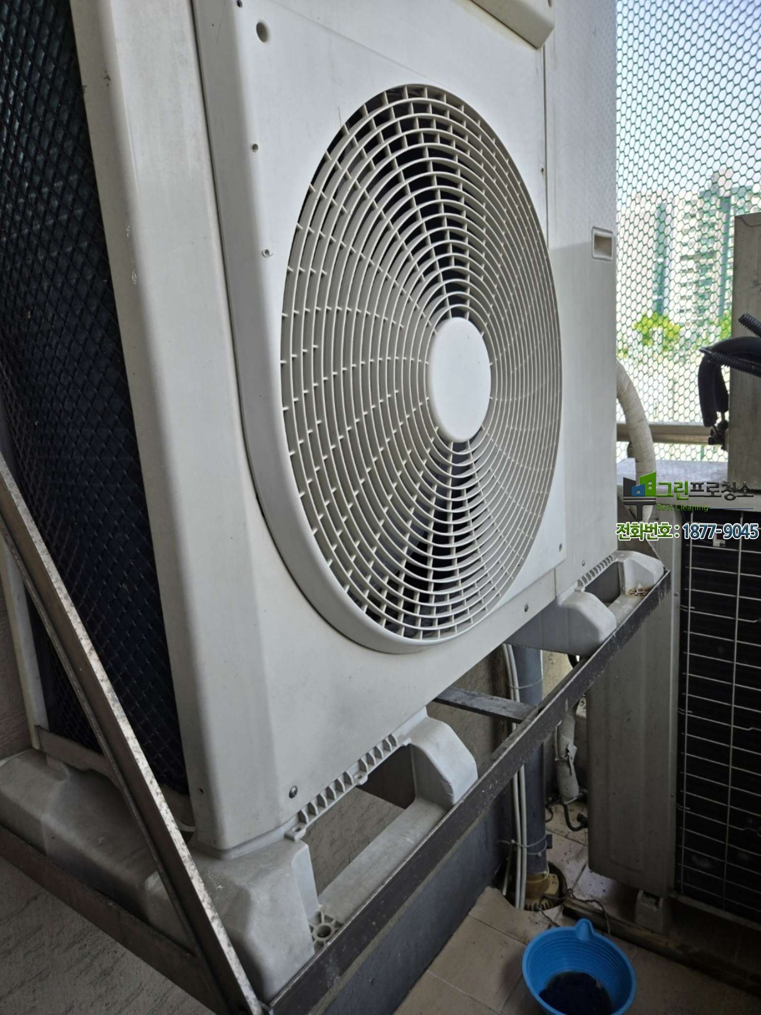 비둘기 재유입을 막는 망 설치 모습