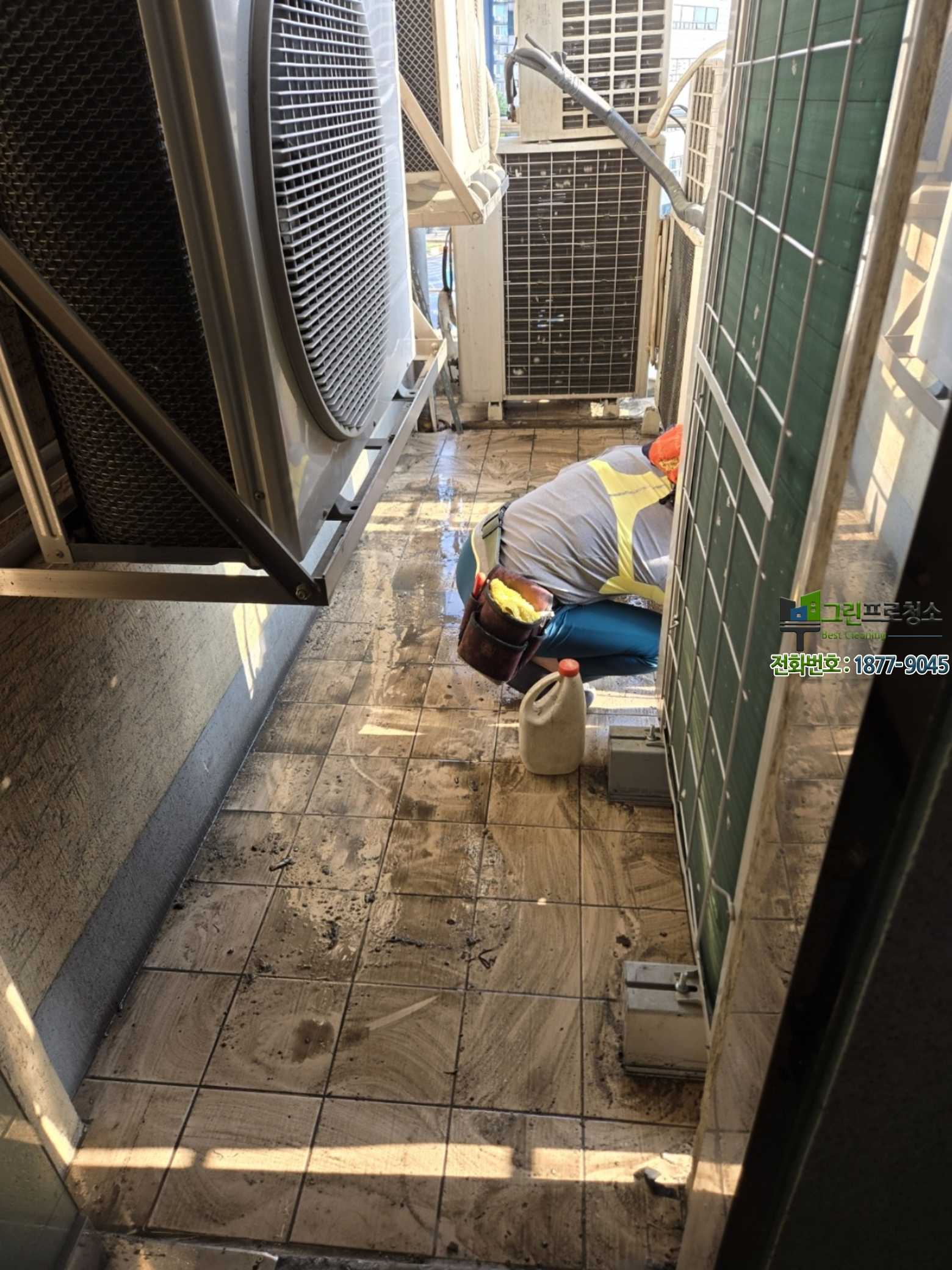 비둘기 문제 발생이 잦은 공간 예시