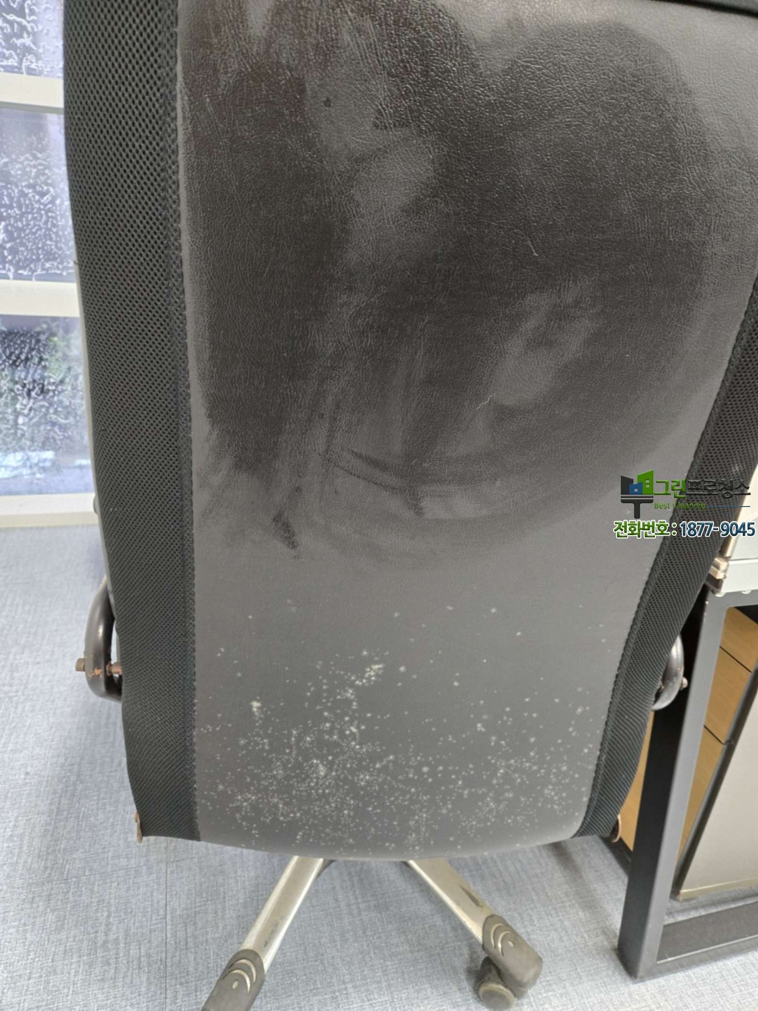 정기적으로 관리되는 깔끔한 사무실 내부