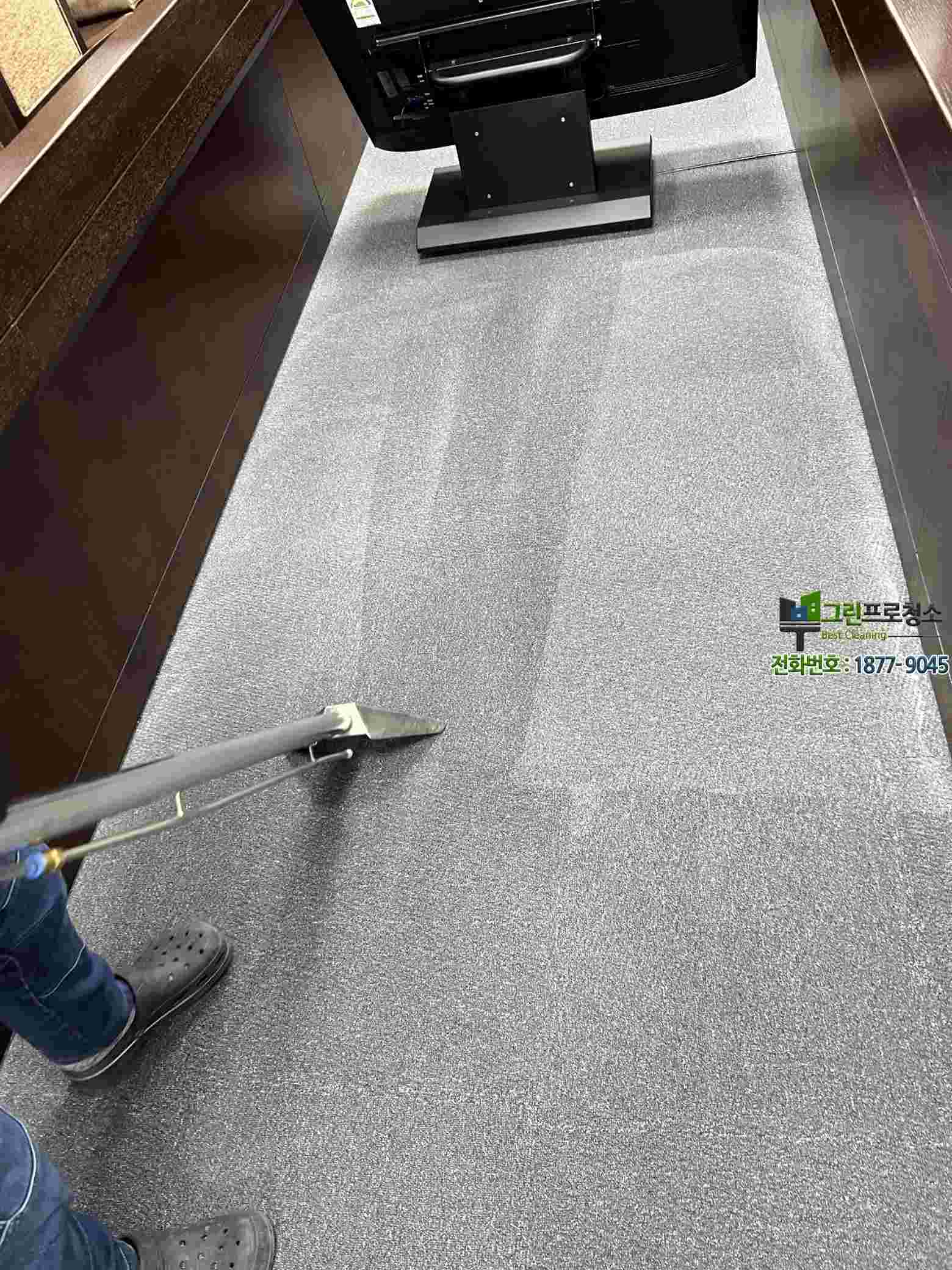 카페트 섬유 속 오염 제거 과정