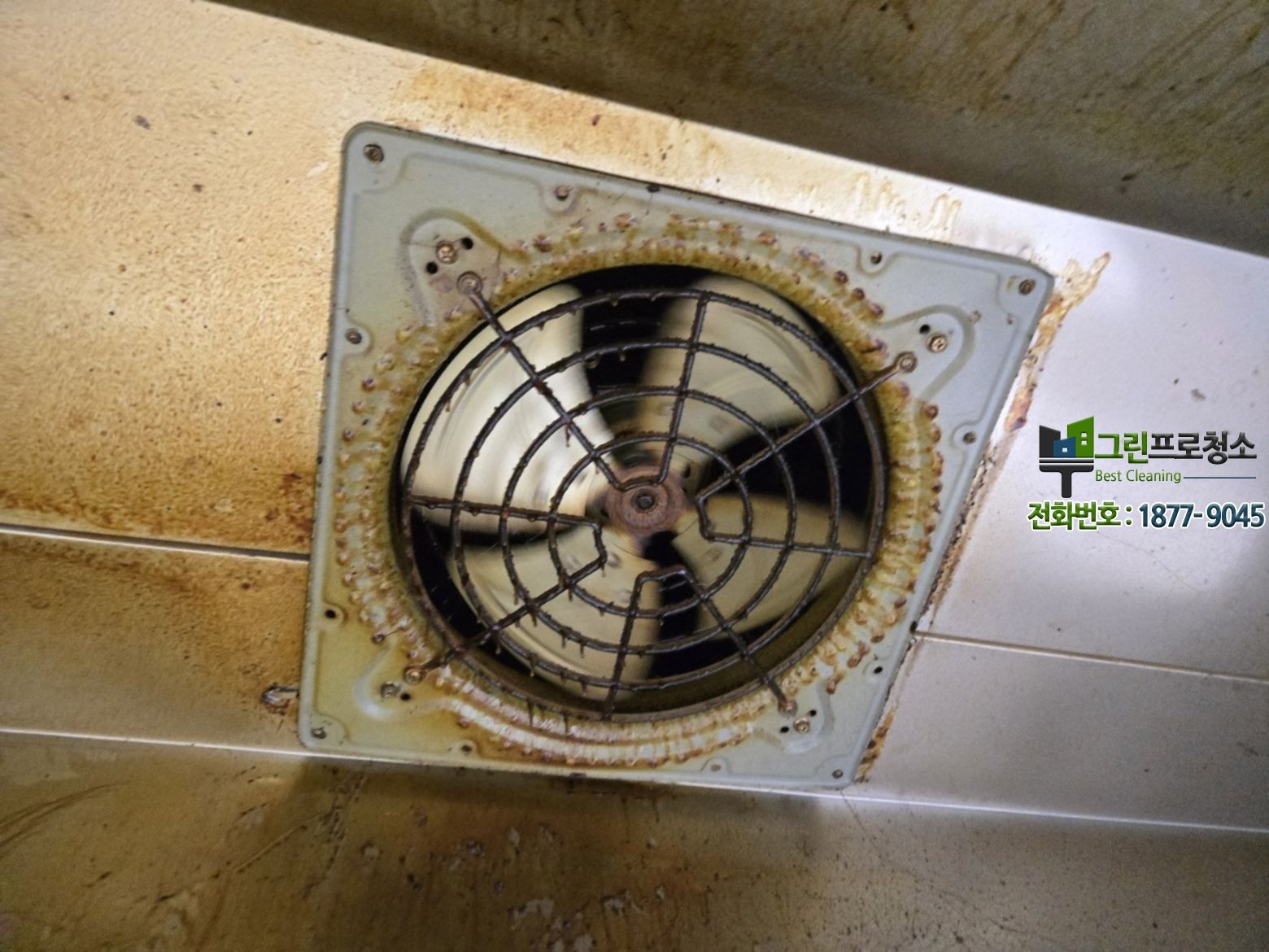 전문 청소 완료 후 쾌적한 식당 환경