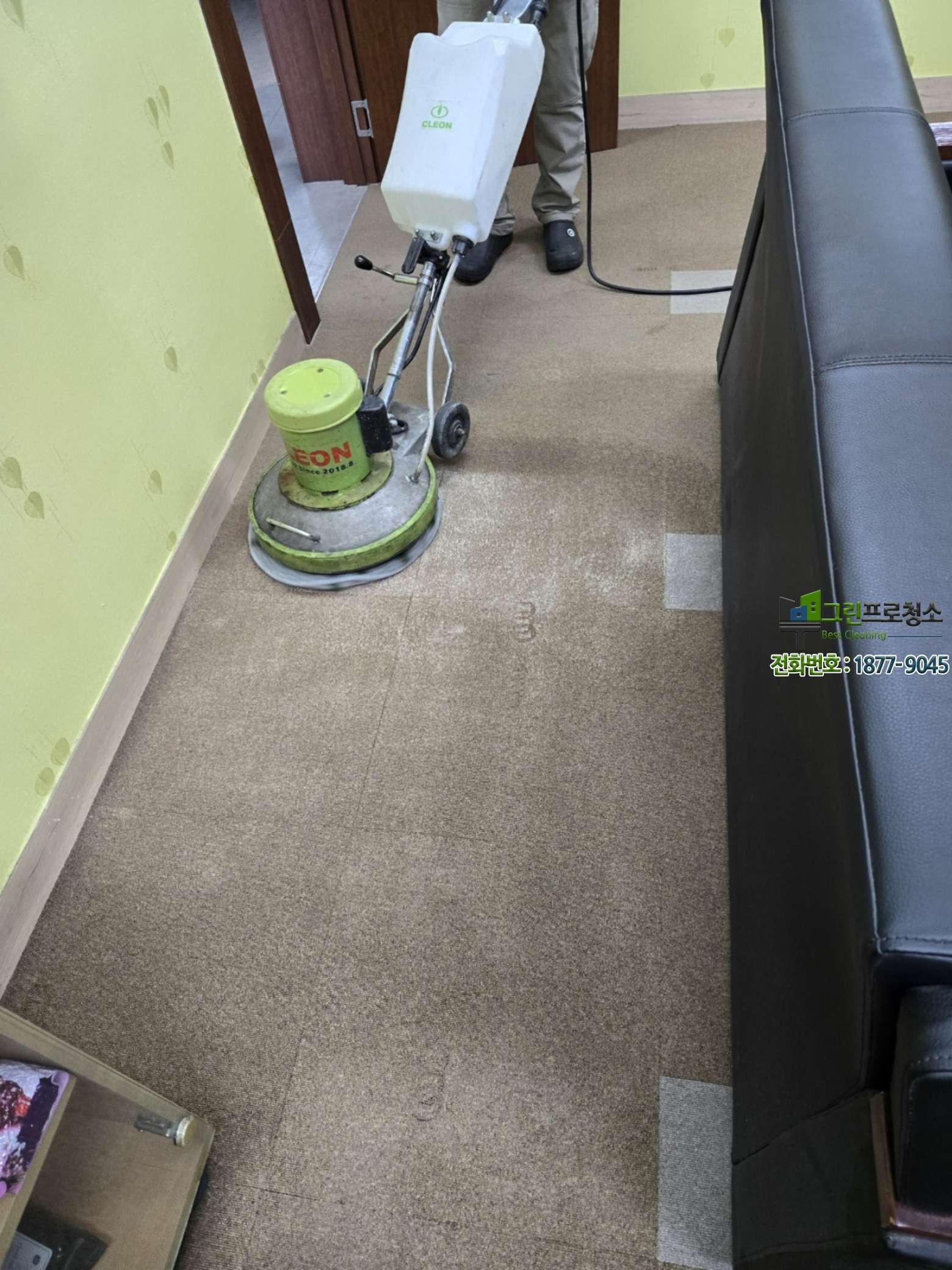 다양한 회의실 환경과 카페트 관리 필요성