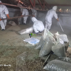 쓰레기 방치 청소 작업중입니다.