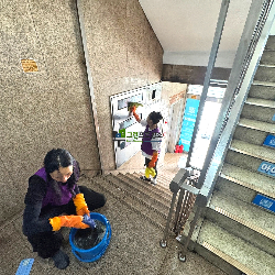 식당·상가 긴급 청소 작업중입니다.