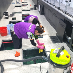 구청·동사무소 청소 작업중입니다.