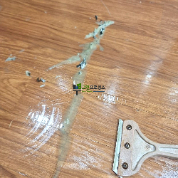 엘리베이터·공용시설 작업중입니다.