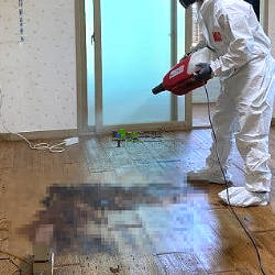 살균·소독 작업중입니다.